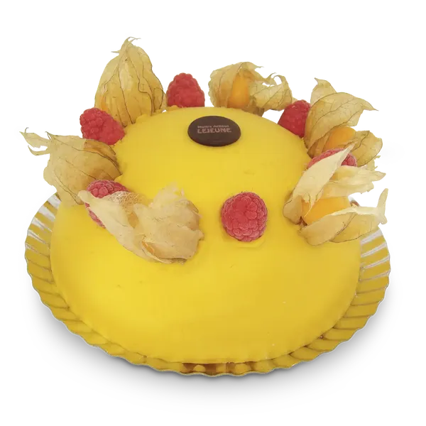 Entremet glacé Exotique - Pâtisserie Lejeune